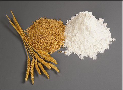 Wheat_Flour_High_Gluten_Wheat_Flour_Pollard